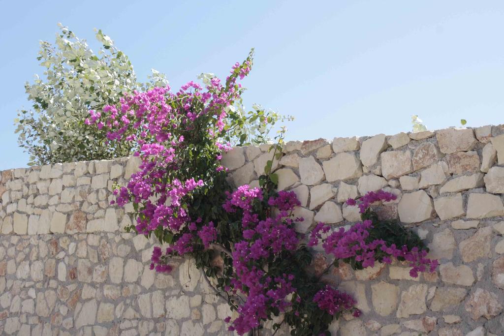 Crete View Villa Maráthi Szoba fotó